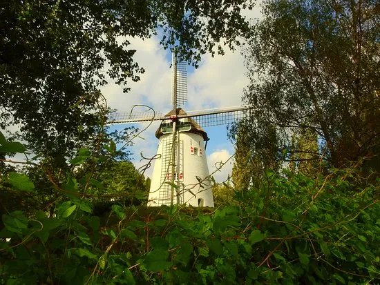 Windmill Keeken
