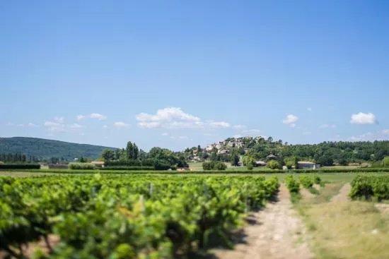 Domaine Rozel
