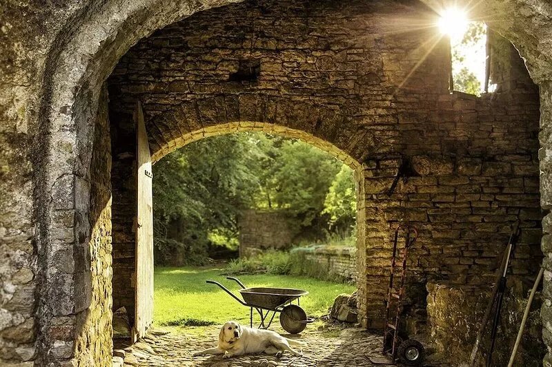 A gardener's cottage tucked away in the corner of an old country house estate.