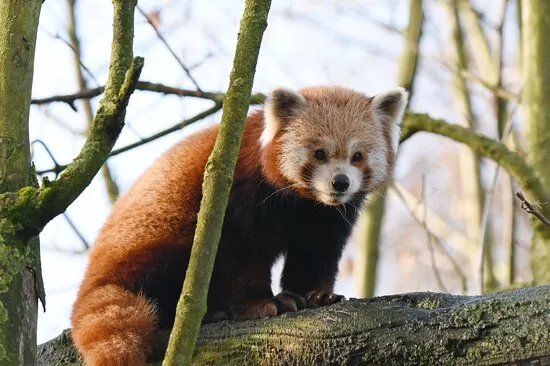 Tiergarten Kleve