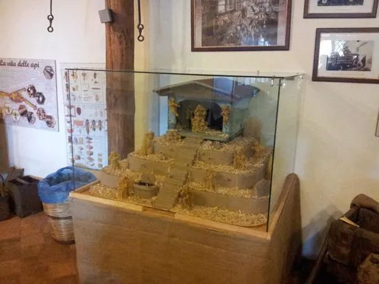 Casa Museo dell'Apicoltore e Vendita di Miele