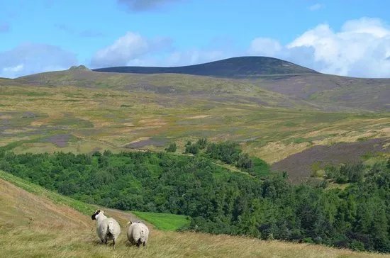 Navigate Northumberland