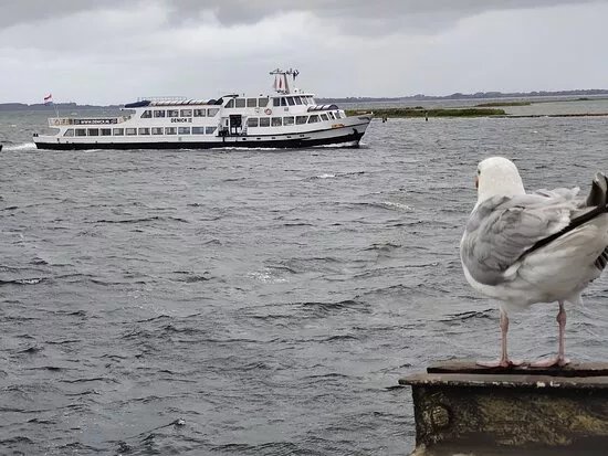 Rederij Zeeland