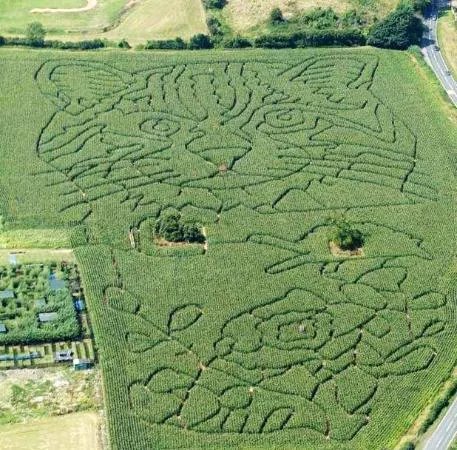 Elton Farm Maize Mazes