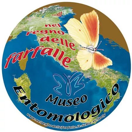 Museo Entomologico nel Regno delle Farfalle - Onlus