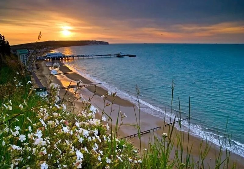 FANTASTIC  Holiday home in Sandown (Private Entrance) near to beach with garden