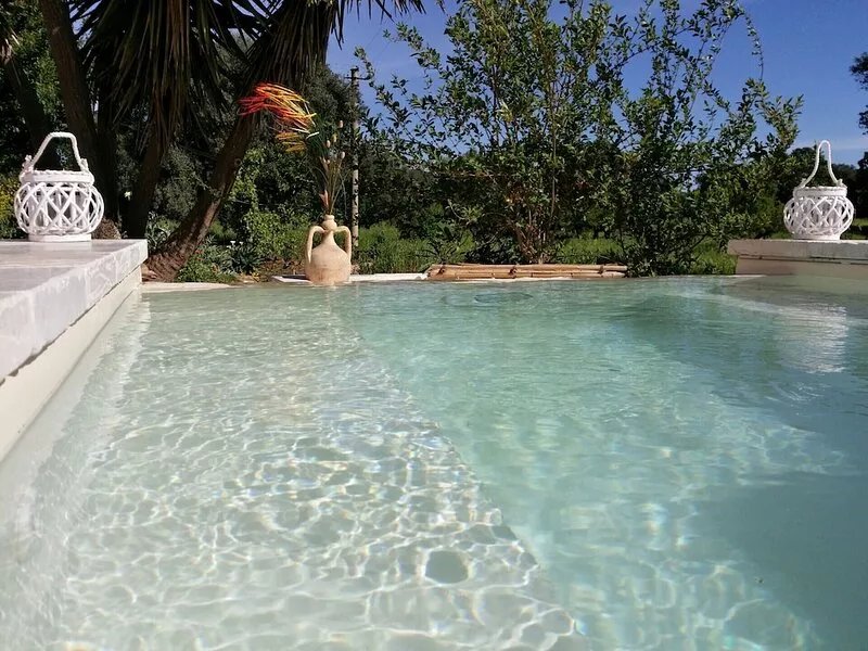 TRULLO MADIA With SHARED JACUZZI for a memorable stay in nature and relax