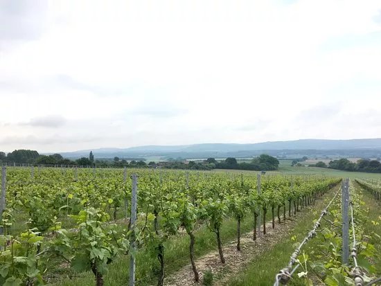 Upperton Vineyards