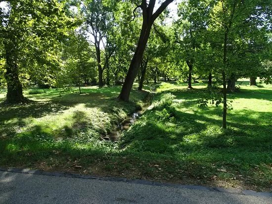 Karolyi Castle park