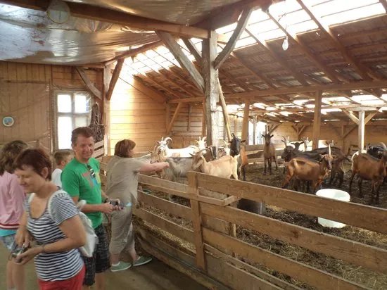 Daily Tours - Turist in Transilvania