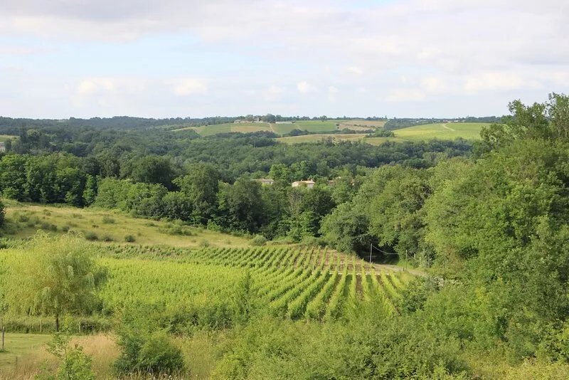 Le Verger de l'Entre2Mers, gîte l'Epicure 4 to 6 pers.