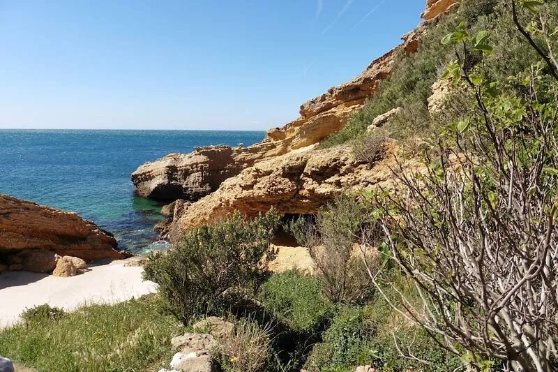 Villa in Provence, sea view, in the privacy of the Calanques