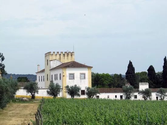 Quinta da Amoreira da Torre