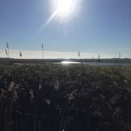 Holkham National Nature Reserve