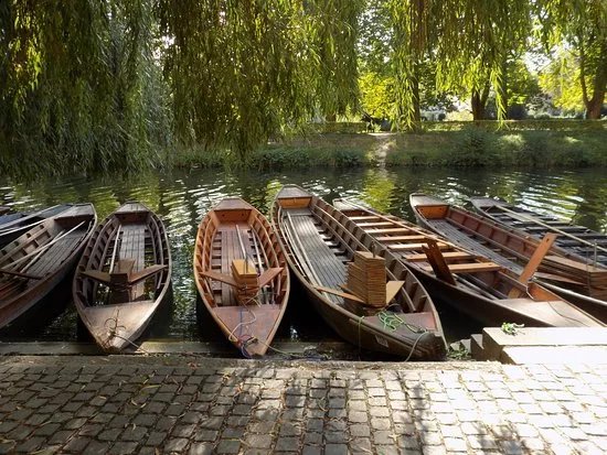 Public Punting Trips