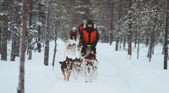 Era-Susi Huskies - Day Tours