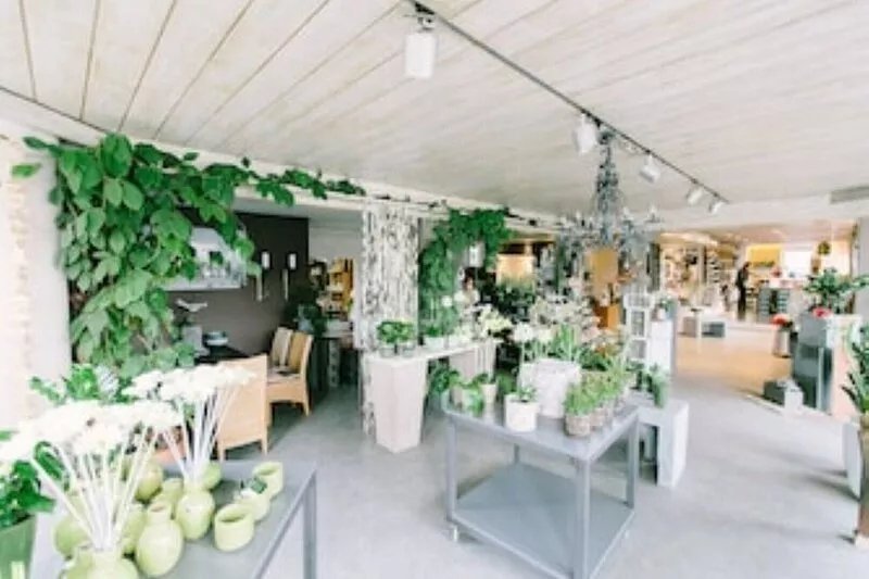Ferienwohnung Rebe
