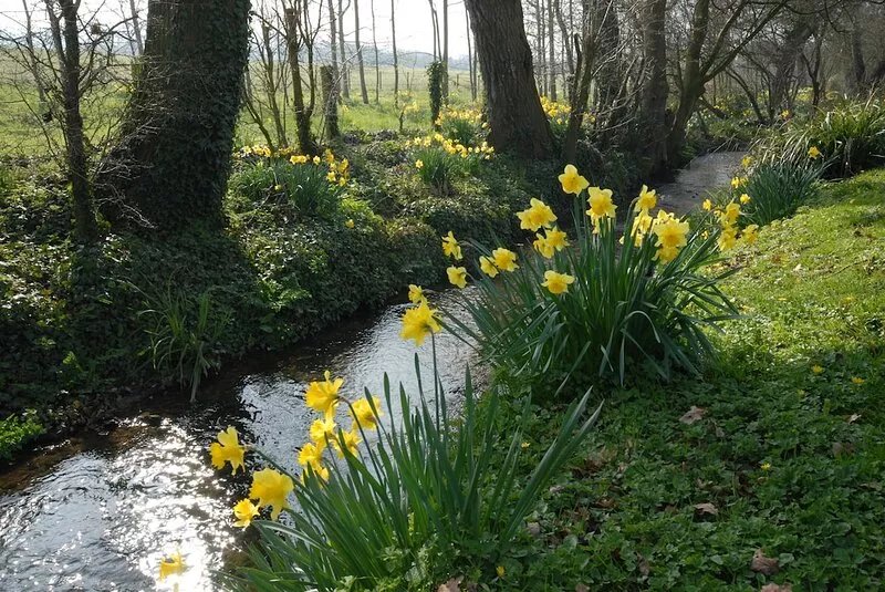 The Granary at French Mill: charming cottage set in extensive garden with stream
