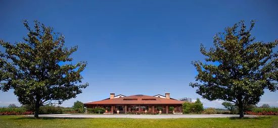 Museo del Vino - Vigneti Pittaro