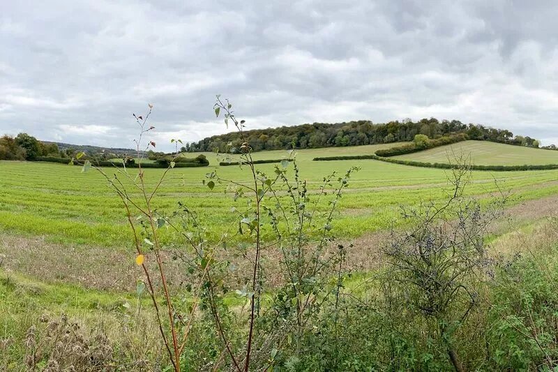 Luxury 3-Bed home in the Chiltern Hills