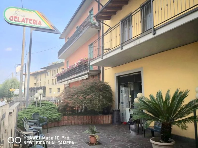 Gelateria La Mimosa Di Agazzi Milco
