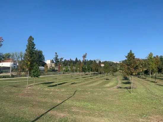Parque Urbano De Pacos De Ferreira