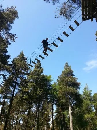 Zipit Forest Adventures