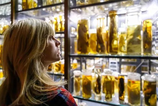Museum Fuer Naturkunde Berlin