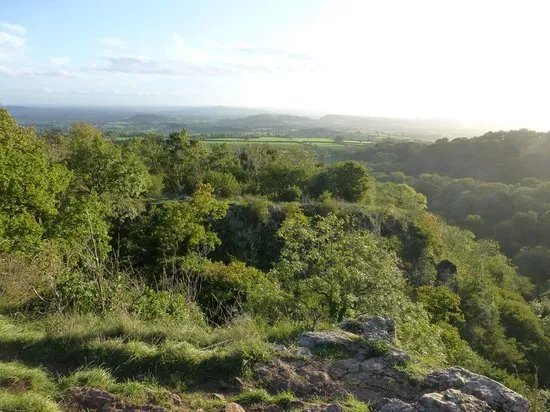 Ebbor Gorge