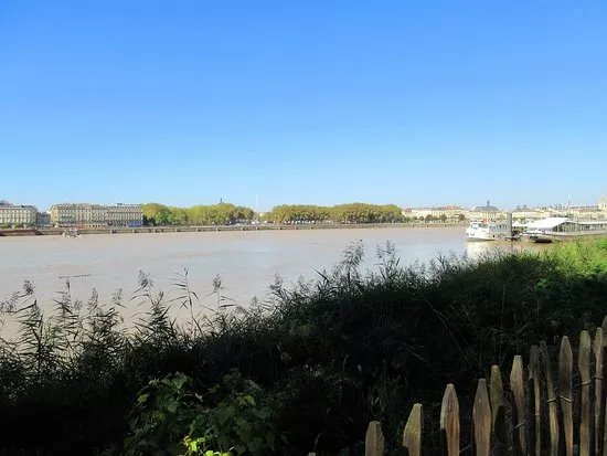 Parc aux Angeliques