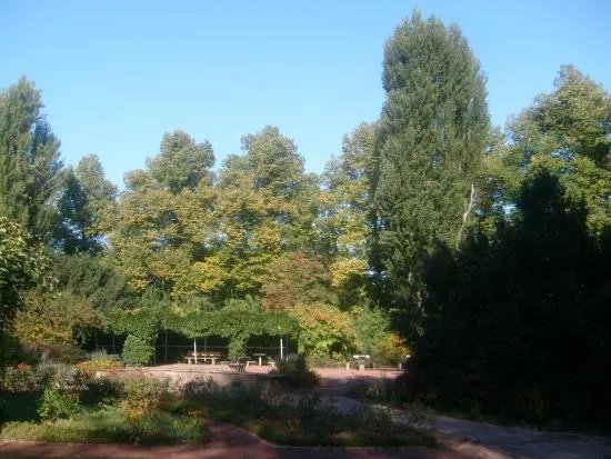 Stadthallengarten