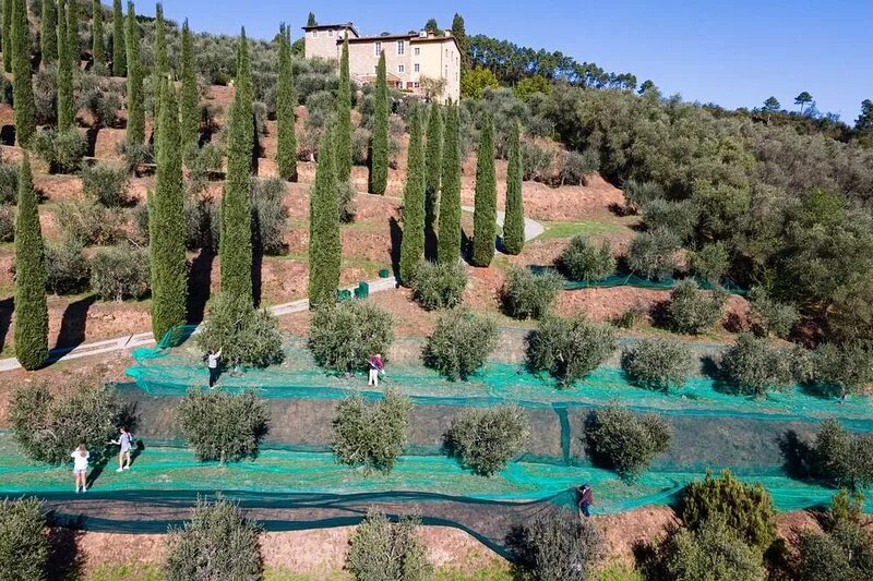 Luxury 6-bed Tuscan villa near Lucca and Florence w/ saltwater pool