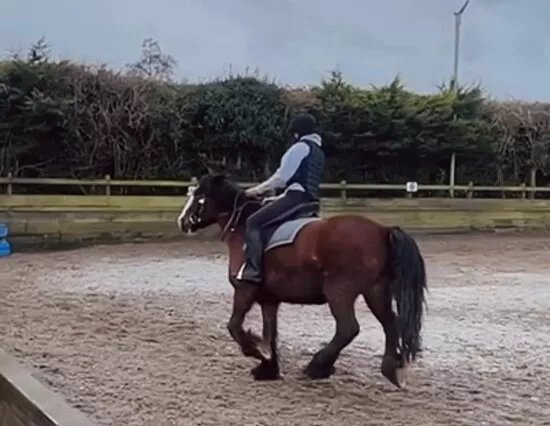 Glen Jakes Riding School