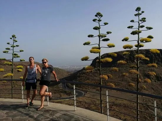 Aktywna Gran Canaria