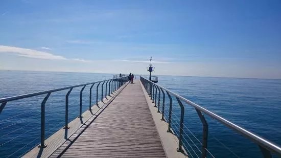 Pont del Petroli