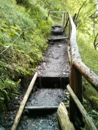 Waldseilgarten Hollschlucht