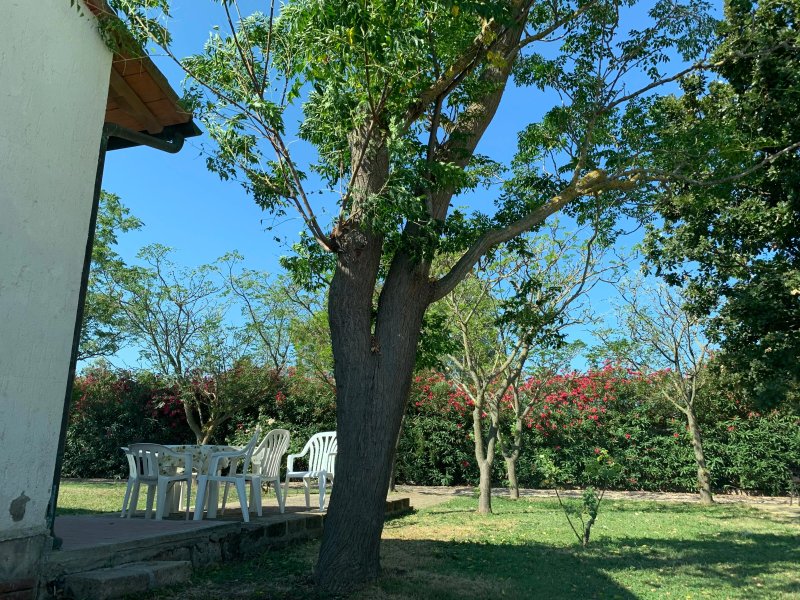 Azienda Il Tizzano