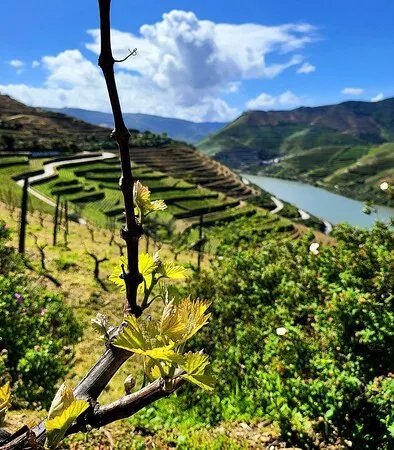 Douro Essense - Private Tours