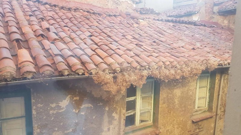 Hostal Misericordia