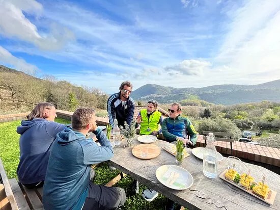 Ciclowine Bike Experiences
