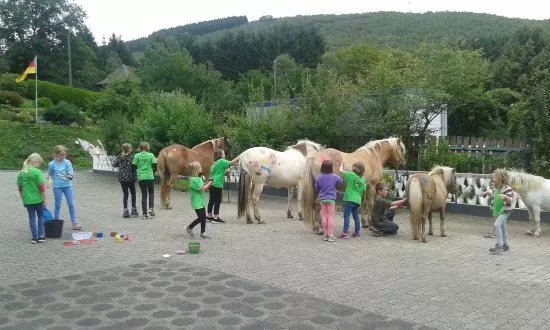Pony und Reiterhof Mai