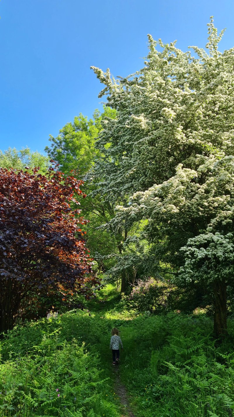 Tortworth Forest Centre and Arboretum
