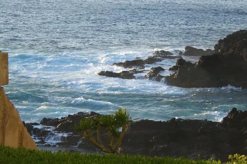 Amazing SEA VIEW APARTMENT WITH GARDEN, Great Oportunity, Special offer