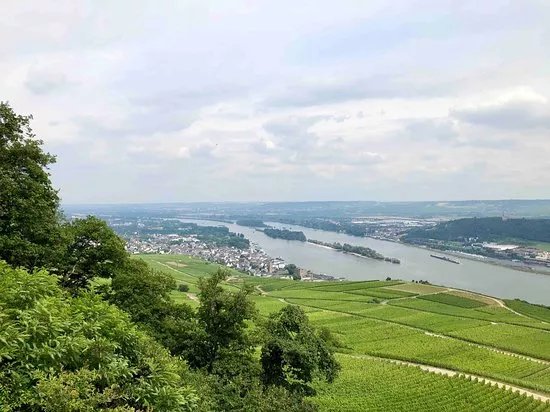Adlerwarte Niederwald