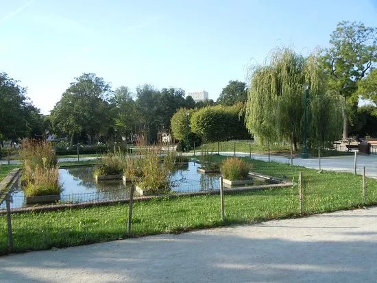 Square Severine