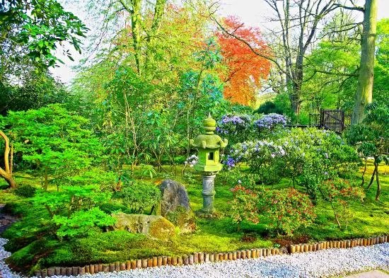 Japanese Garden