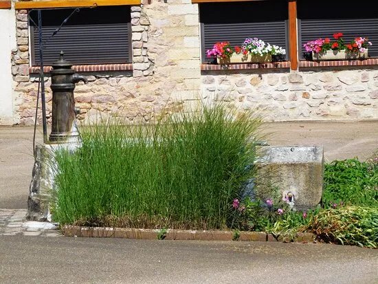 Borne Fontaine D'aubrives Et Villerupt