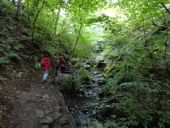 Cregagh Glen