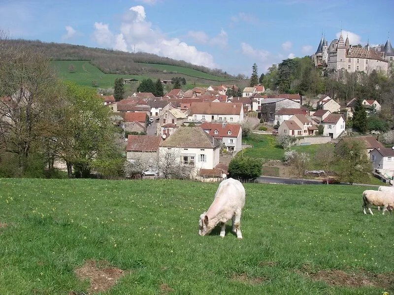 Charming cottage renovated in Larochepot in the Hautes Cotes de Beaune in