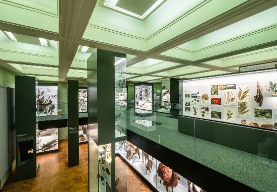 University of Tartu Natural History Museum